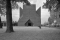 _MG_0647in